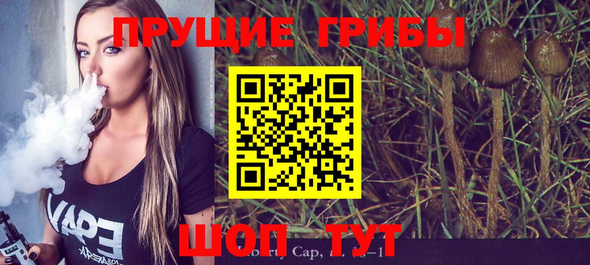 Псилоцибиновые грибы Magic Shrooms Вязники