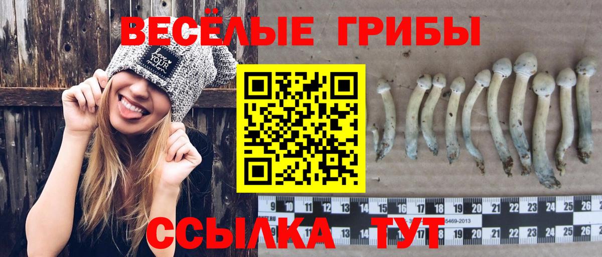 Псилоцибиновые грибы мицелий  Галлюциногенные грибы ЛСД  Вязники  Вход с VPN 